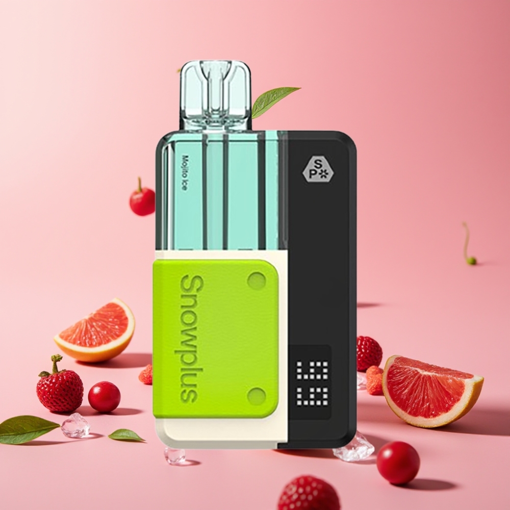 Snowplus Swift 5000 Puffs Prefilled Pod Kit Mojito Ice, 1000 mAh, 2+10 ml