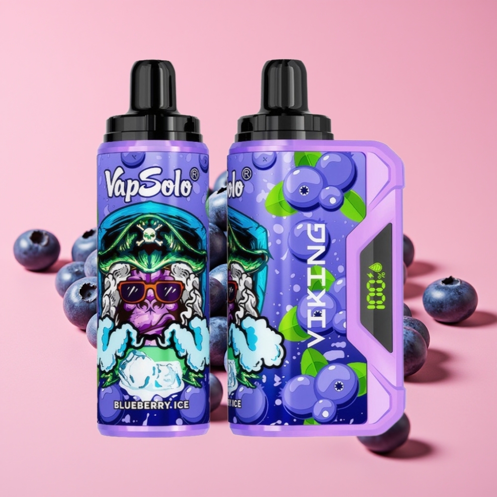 VapSolo VIKING 12000 Puffs Disposable Vape Borovnica, 22ml, 20/50 mg/ml, Type-C